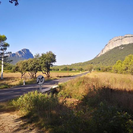 شقة Montcalm Climatise En Plein Ecusson مونبيلييه المظهر الخارجي الصورة